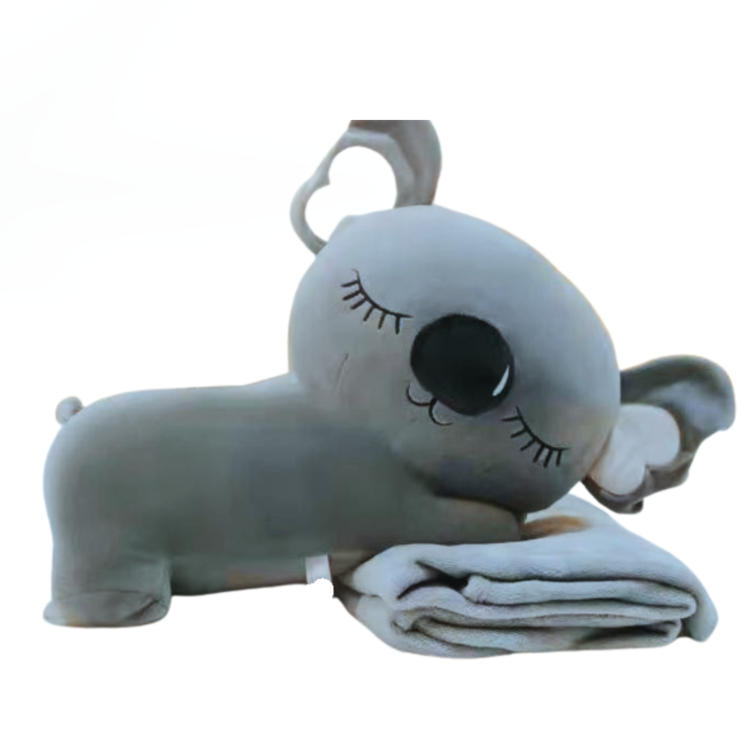 =0 koala miś.png