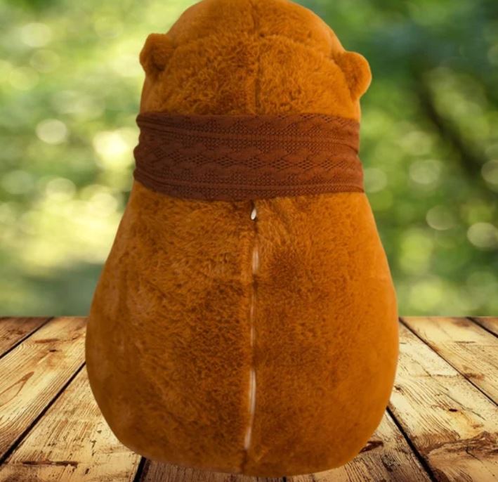 2.JPG